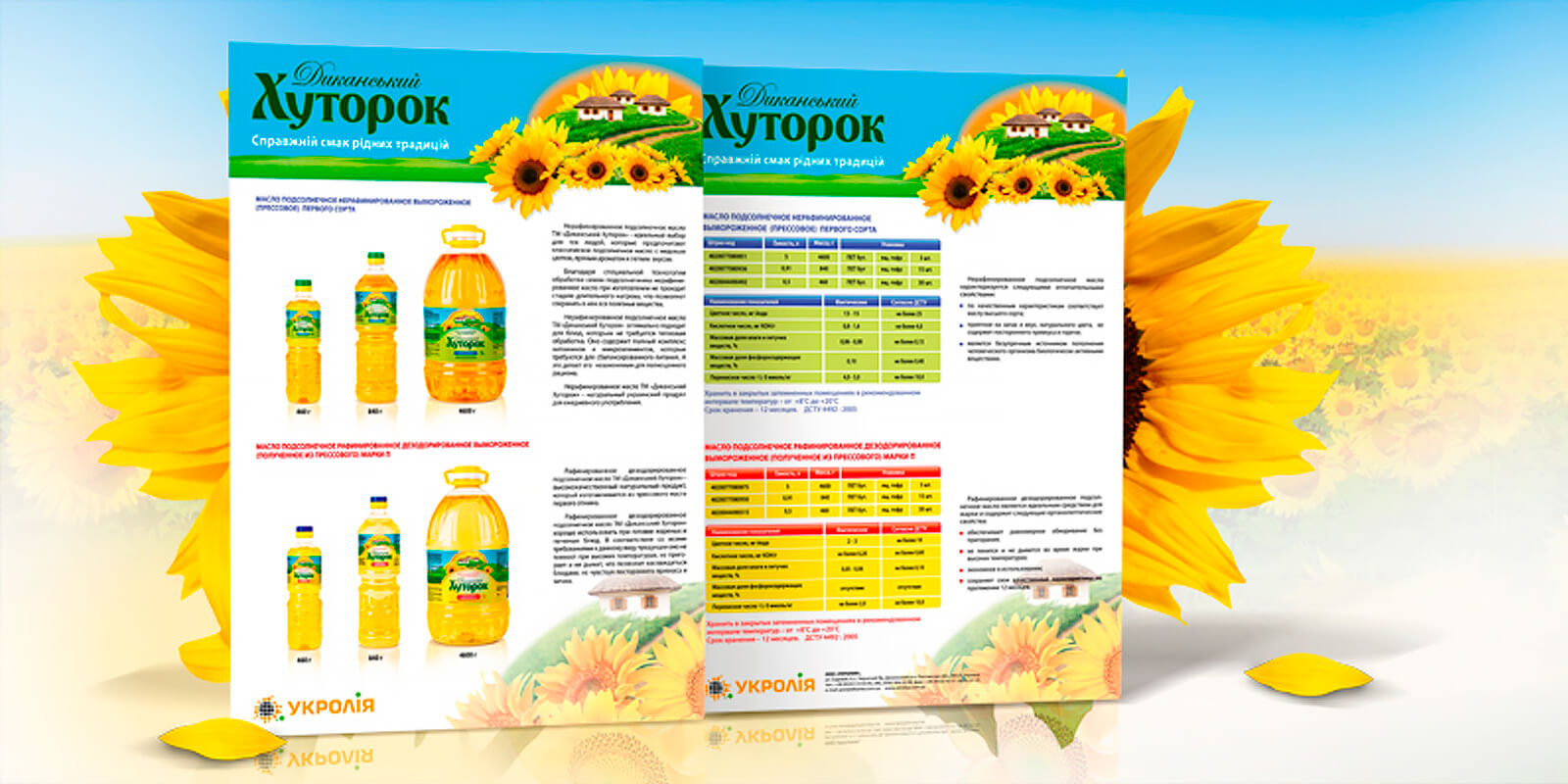 разработка дизайна полиграфии флаеров