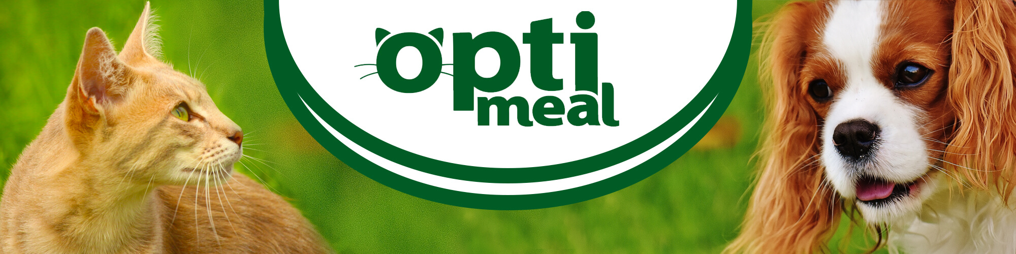 розробка дизайн проекту ціна optimeal