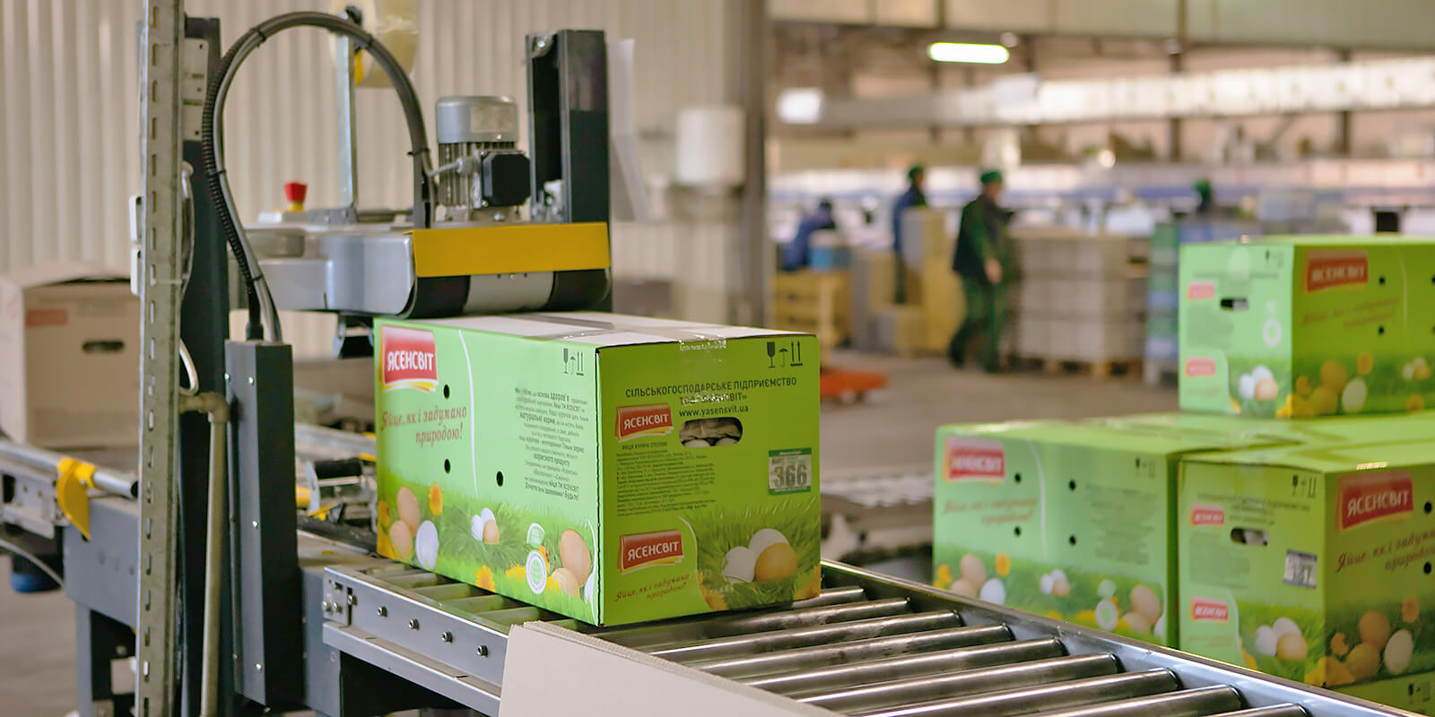 дизайн тарного ящика для яичной продукции, ясенсвіт, решения для брендов, GBS